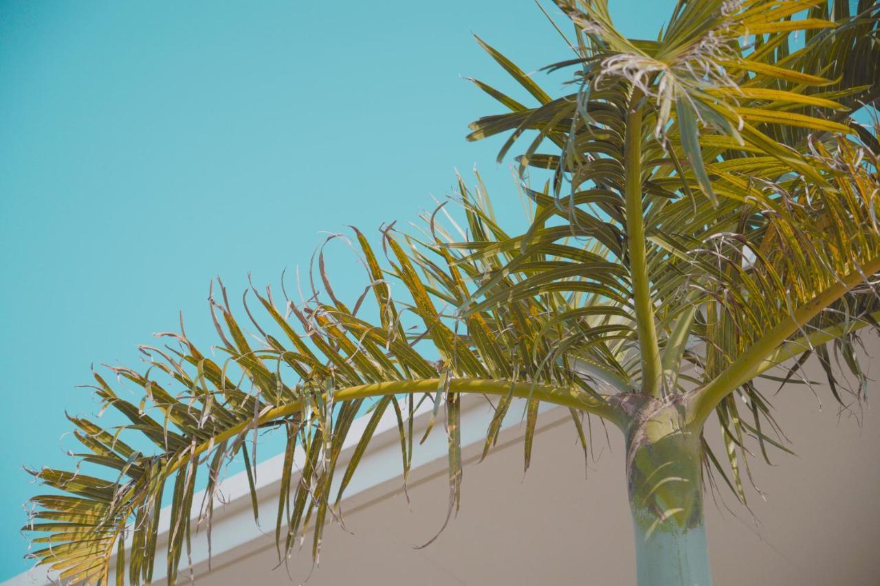 Vila Casa Del Sole Miyakojima Exteriér fotografie